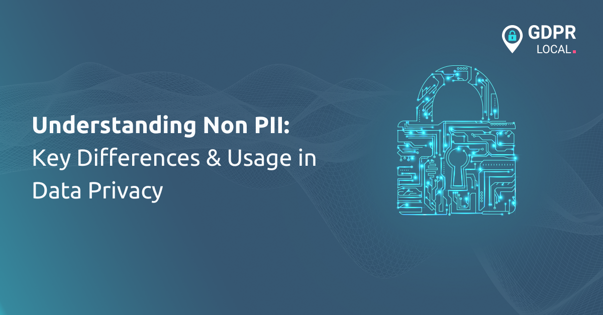 Understanding Non PII Key Differences & Usage In Data Privacy